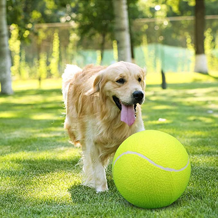 Nafukljiva teniska lopta za kućne ljubimce, lopta za trening tenis • Materijal: kemijska vlakna • Marka: Strong • Tisak loga: moguć • Prikladne primjene: sportski trendovi, stolni tenis i badminton