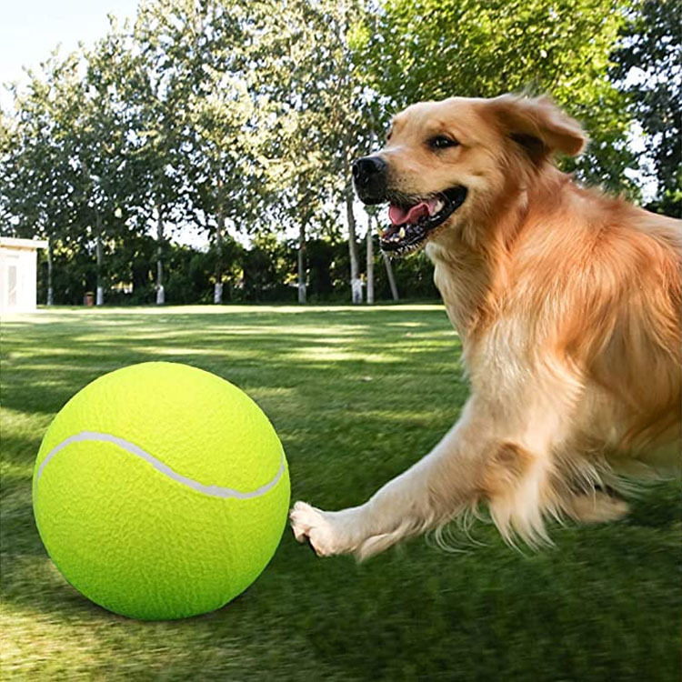 Nafukljiva teniska lopta za kućne ljubimce, lopta za trening tenis • Materijal: kemijska vlakna • Marka: Strong • Tisak loga: moguć • Prikladne primjene: sportski trendovi, stolni tenis i badminton