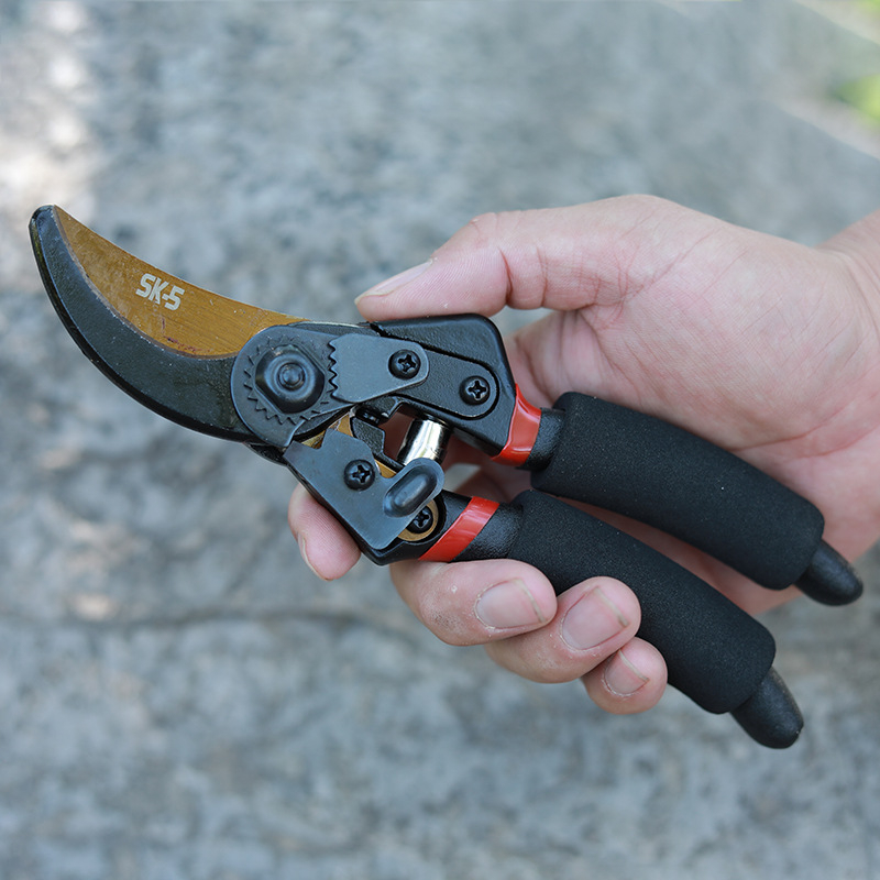 Rongxin Foarfecă de tăiat crengi SK5, îngroșată – Foarfă de grădină robustă pentru crengi groase, economie de efort