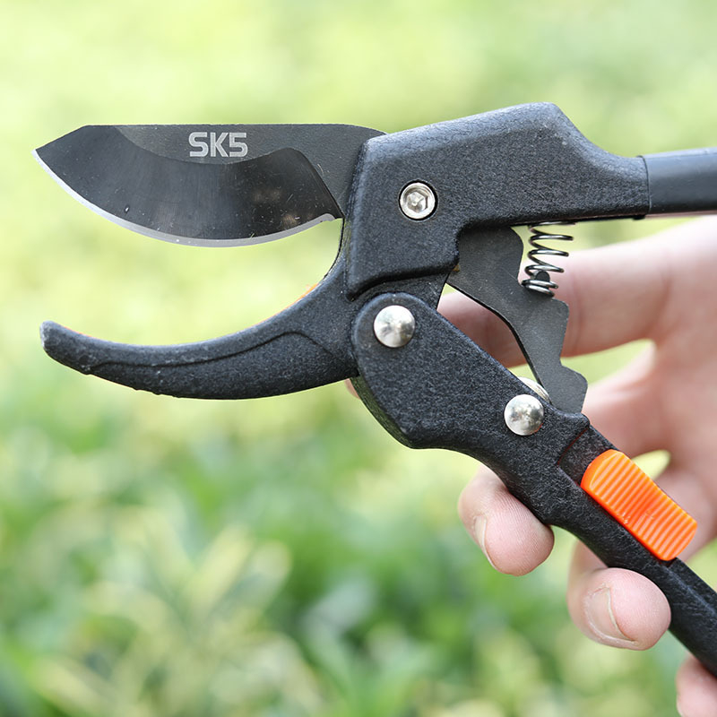 Rongxin Foarfecă de tăiat crengi SK5, îngroșată – Foarfă de grădină robustă pentru crengi groase, economie de efort