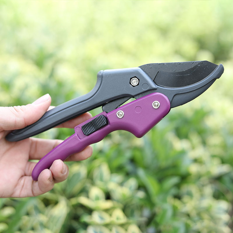 Foarfețe de tăiat crengi, oțel SK5, lamă îngroșată, economie de efort, pentru grădină și agricultură