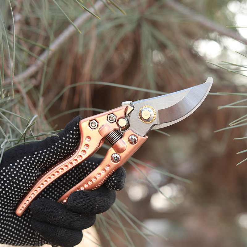 Foarfețe de tăiat crengi, oțel SK5, lamă îngroșată, economie de efort, pentru grădină și agricultură