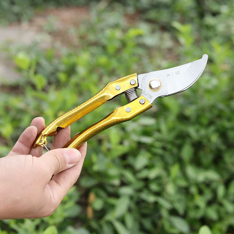 Foarfețe de tăiat crengi, oțel SK5, lamă îngroșată, economie de efort, pentru grădină și agricultură