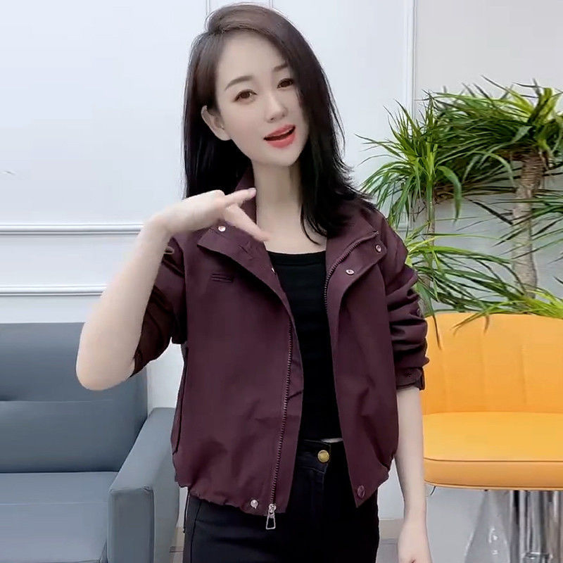 Moteriška Chenille striukė su stovimu apykakle, laisvas kirpimas, Spandex mišinys, trumpas kirpimas, pavasaris 2025