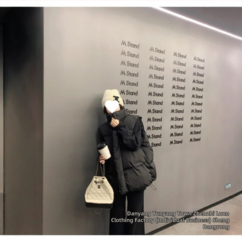 Sieviešu vestes ar stāvošu apkakli un rāvējslēdzēju, brīvs piegriezums, pūka-pamatu pildījums, poliestera audums