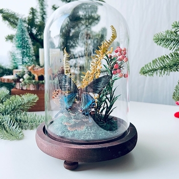 Стъклен капак за пеперуден образец и растителен образец с изсъхнали цветя — микро пейзаж DIY