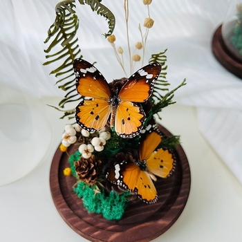 Стъклен капак за пеперуден образец и растителен образец с изсъхнали цветя — микро пейзаж DIY