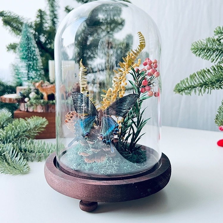 Стъклен капак за пеперуден образец и растителен образец с изсъхнали цветя — микро пейзаж DIY