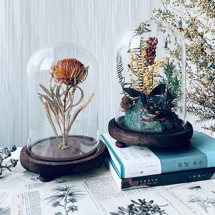 Стъклен капак за пеперуден образец и растителен образец с изсъхнали цветя — микро пейзаж DIY