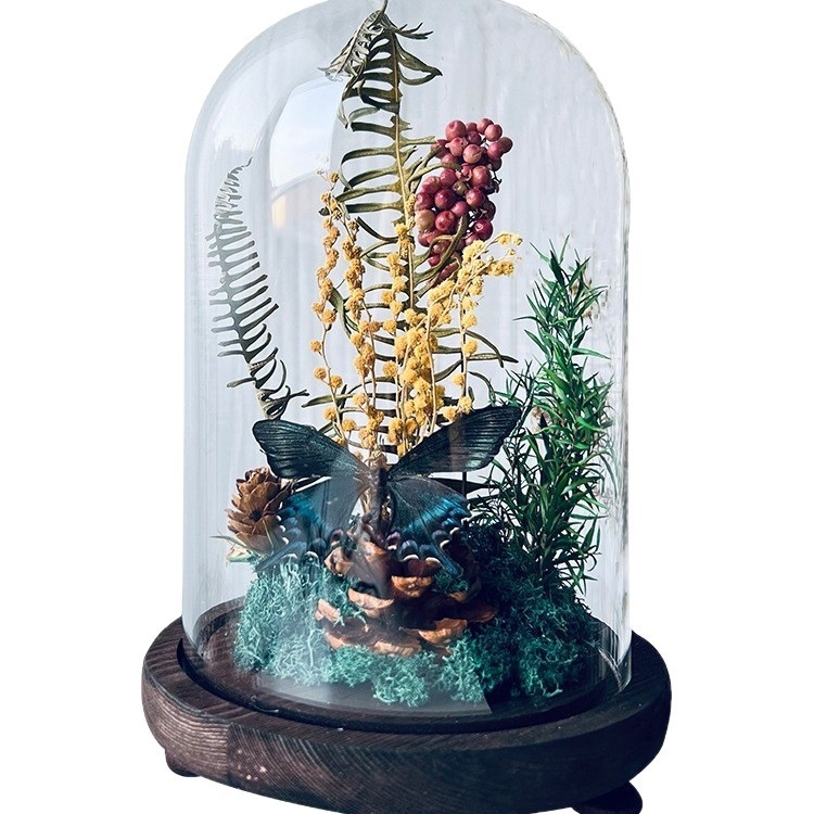 Стъклен капак за пеперуден образец и растителен образец с изсъхнали цветя — микро пейзаж DIY