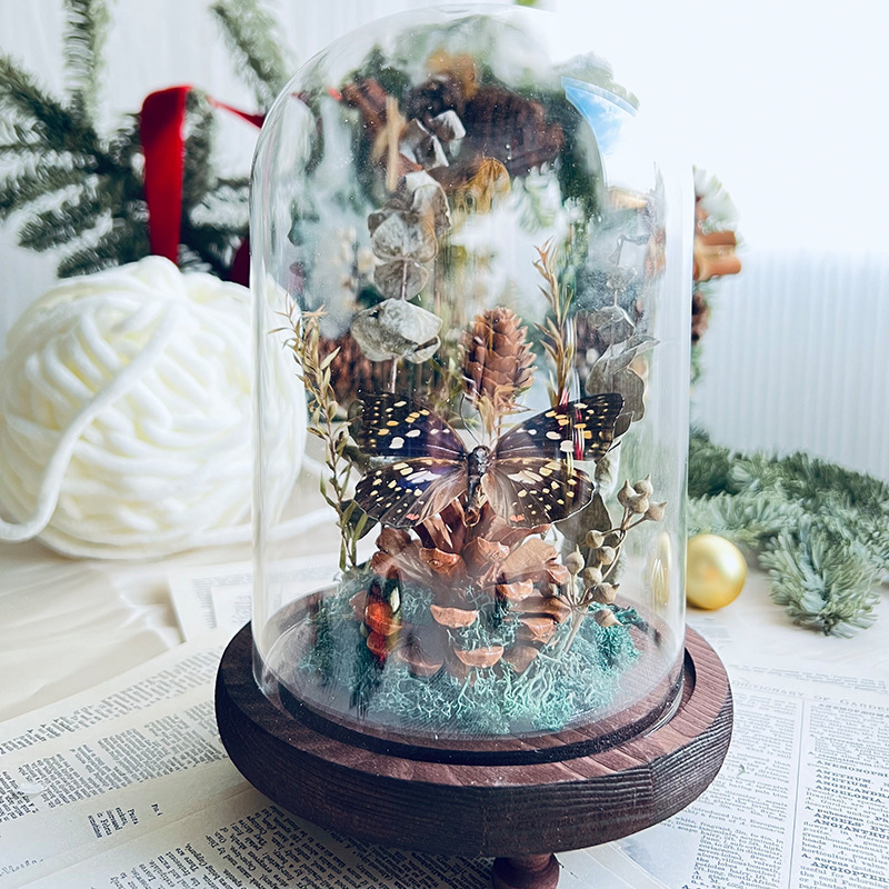 Стъклен капак за пеперуден образец и растителен образец с изсъхнали цветя — микро пейзаж DIY