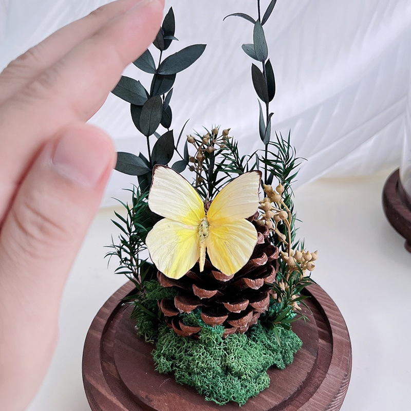 Стъклен капак за пеперуден образец и растителен образец с изсъхнали цветя — микро пейзаж DIY