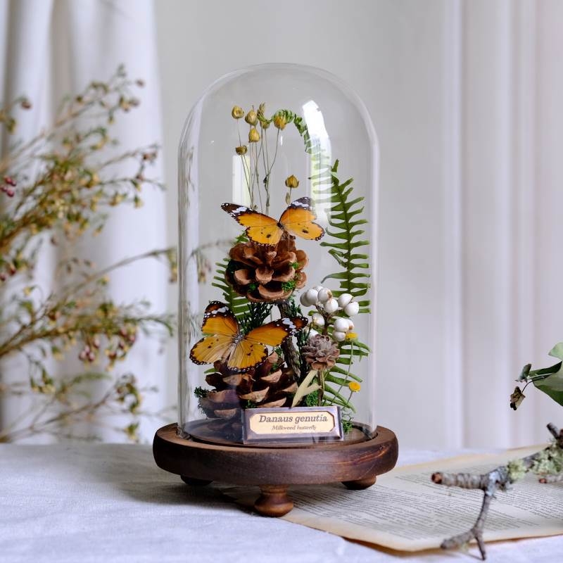 Стъклен капак за пеперуден образец и растителен образец с изсъхнали цветя — микро пейзаж DIY