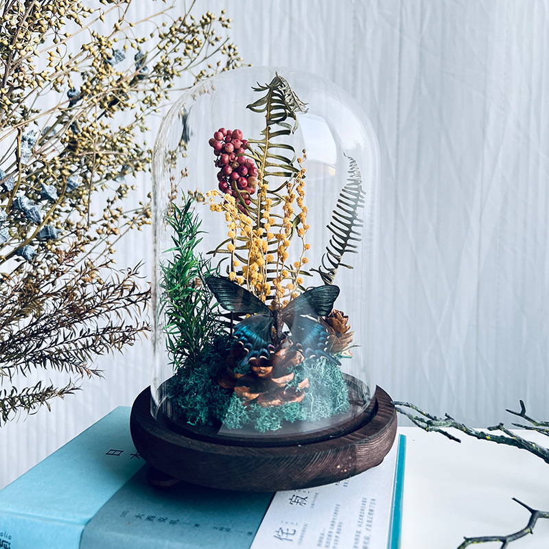 Стъклен капак за пеперуден образец и растителен образец с изсъхнали цветя — микро пейзаж DIY