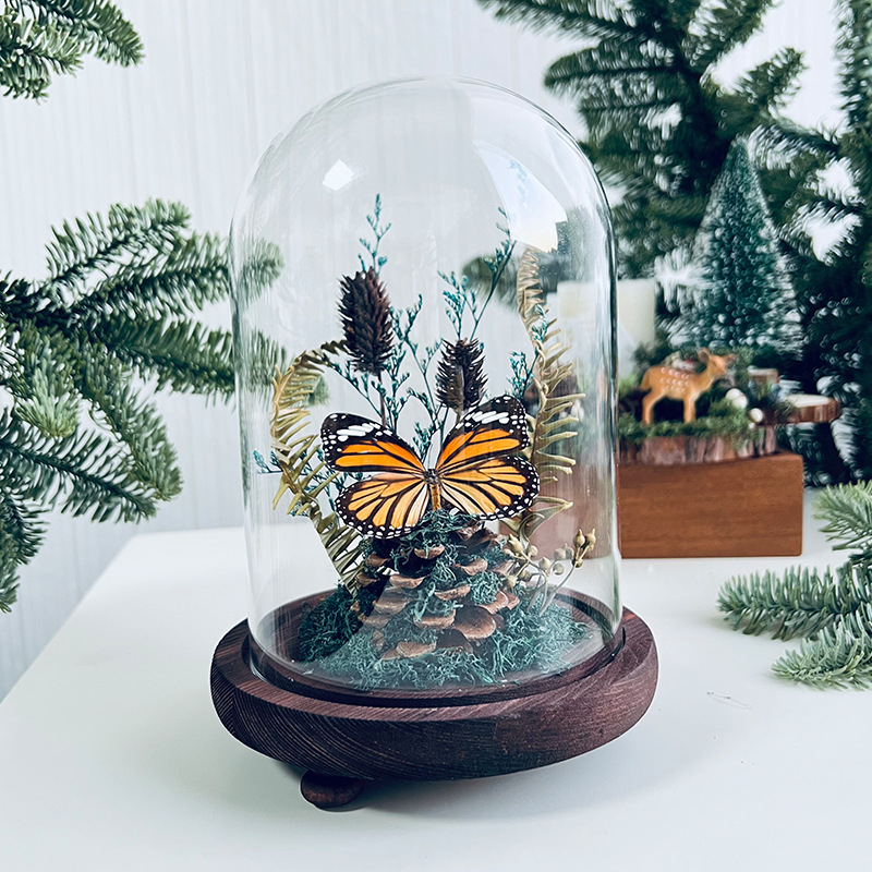 Стъклен капак за пеперуден образец и растителен образец с изсъхнали цветя — микро пейзаж DIY