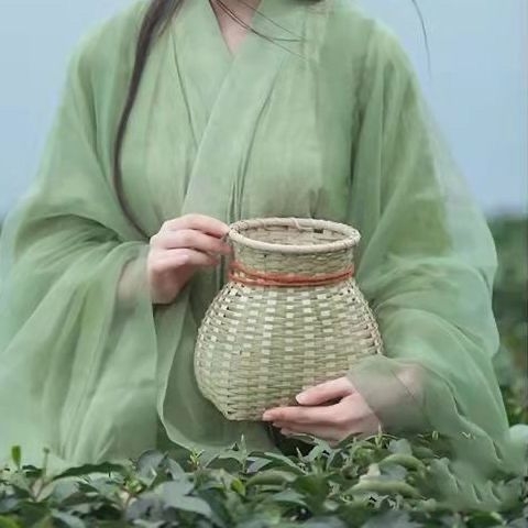 Hanfu top – inspiriran Wei Jin, elegantan starinski stil, šifon s elastanom, premazna izrada, ljeto 2023