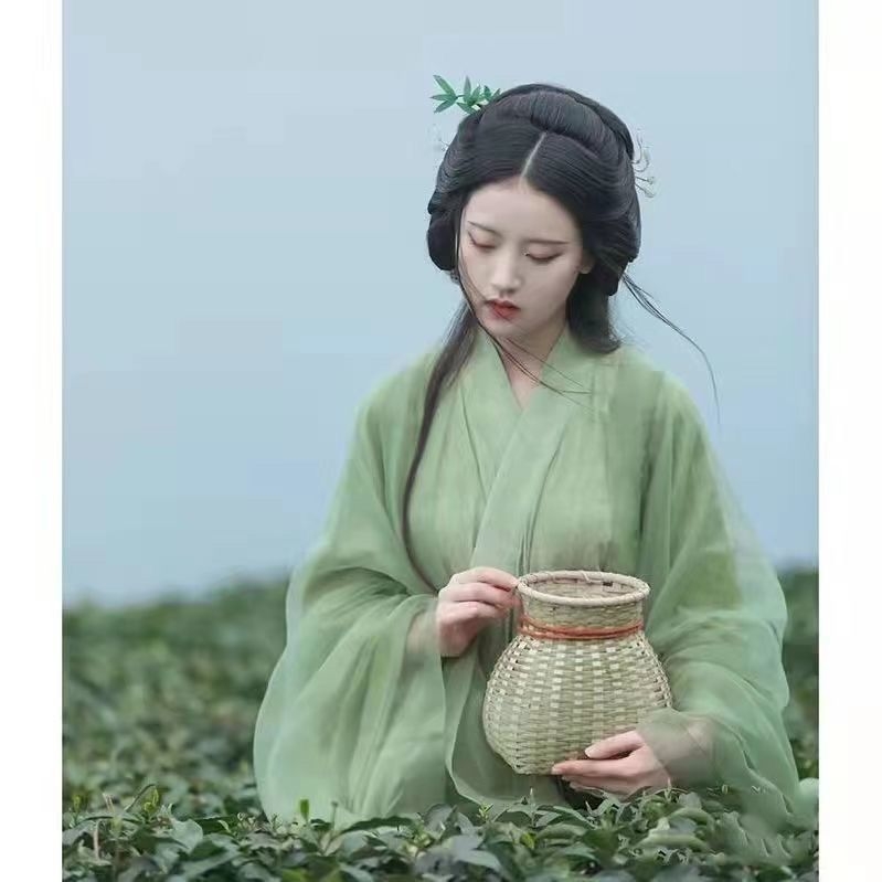 Hanfu top – inspiriran Wei Jin, elegantan starinski stil, šifon s elastanom, premazna izrada, ljeto 2023