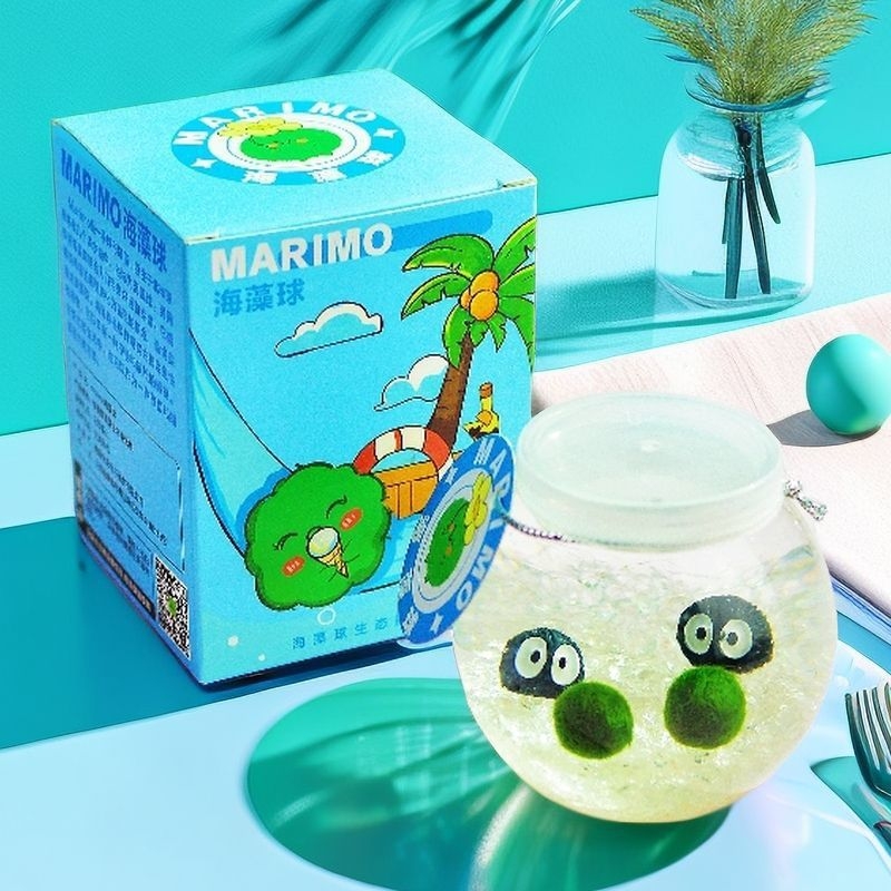 Marimo zaļā bumba ekoloģiskā pudelē – mikro ainava uz datora hidroponisks augu komplekts, karikatūras forma, plastmasa, pielāgojama, dāvanu gatavs, iepakojums iekļauts