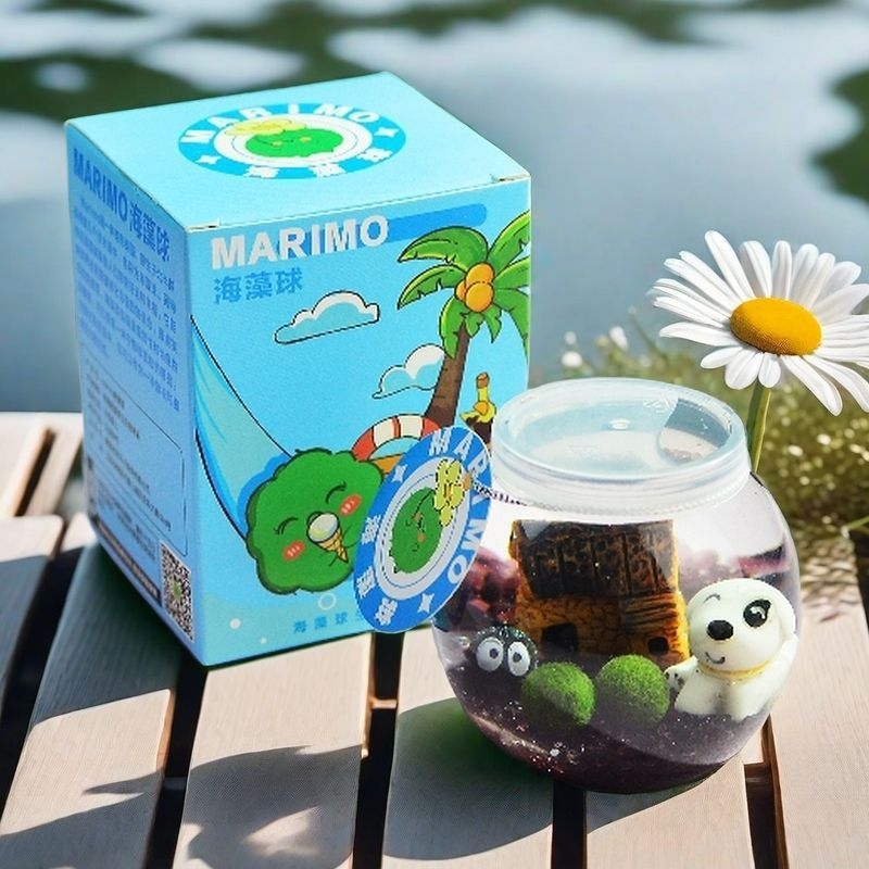 Marimo zaļā bumba ekoloģiskā pudelē – mikro ainava uz datora hidroponisks augu komplekts, karikatūras forma, plastmasa, pielāgojama, dāvanu gatavs, iepakojums iekļauts