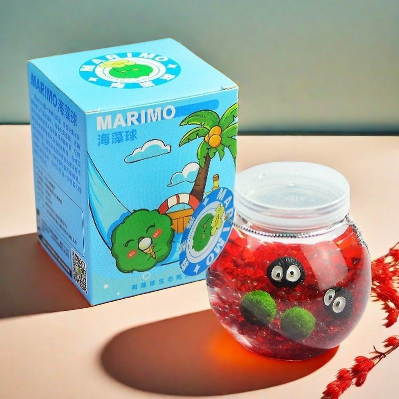 Marimo Ekoloģiskā Pudele – Mini Ainava Uz Rakstāmgaldu Hidroponisko Augu komplekts (Dāvana) (Materiāls: Plastika; Forma: Karikatūra; Pielāgojams; Iepakojums iekļauts; Dāvana gatava)