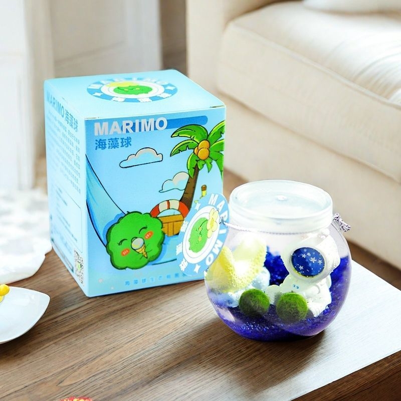 Marimo Ekoloģiskā Pudele – Mini Ainava Uz Rakstāmgaldu Hidroponisko Augu komplekts (Dāvana) (Materiāls: Plastika; Forma: Karikatūra; Pielāgojams; Iepakojums iekļauts; Dāvana gatava)