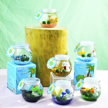 Marimo sūna bumba ekoloģiskā pudelē ar mikro ainavu — galda hidroponiska augu komplekts, dāvana, plastmasa, karikatūras forma, pielāgojama