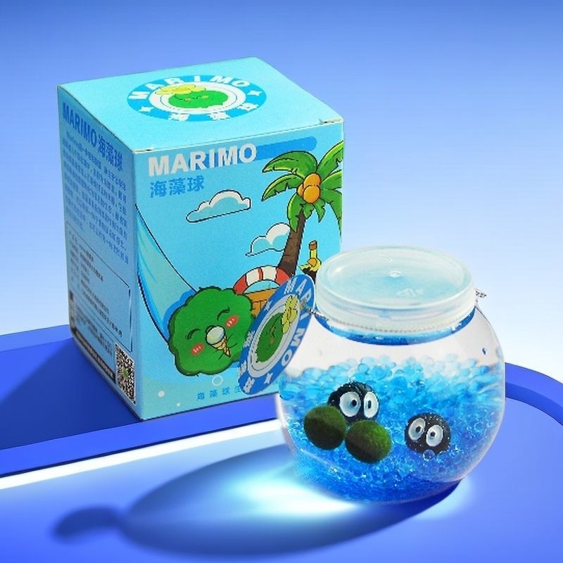 Marimo sūna bumba ekoloģiskā pudelē ar mikro ainavu — galda hidroponiska augu komplekts, dāvana, plastmasa, karikatūras forma, pielāgojama