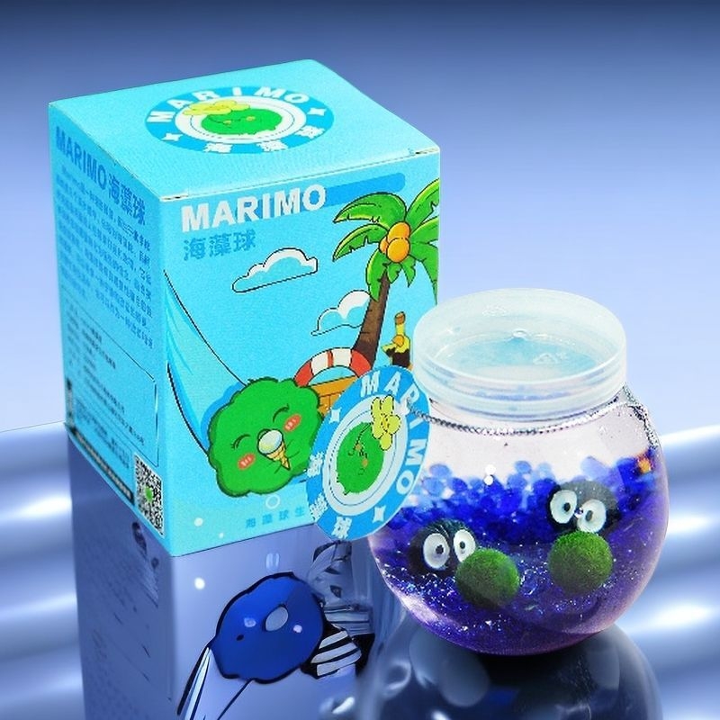 Marimo sūna bumba ekoloģiskā pudelē ar mikro ainavu — galda hidroponiska augu komplekts, dāvana, plastmasa, karikatūras forma, pielāgojama