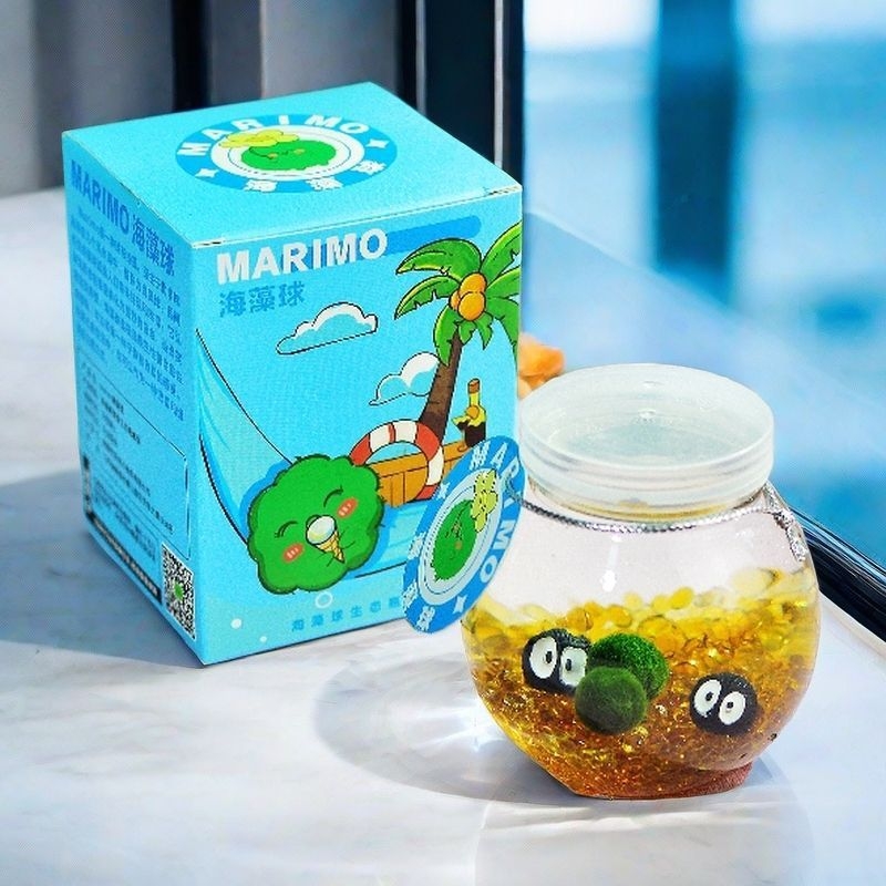 Marimo sūna bumba ekoloģiskā pudelē ar mikro ainavu — galda hidroponiska augu komplekts, dāvana, plastmasa, karikatūras forma, pielāgojama
