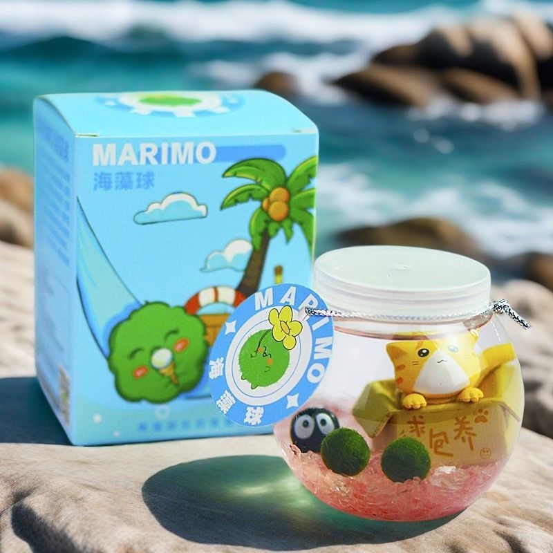 Marimo sferinis kamuolys — stalinis hidroponikų buteliuko rinkinys, karikatūrinis plastikinis dizainas, pritaikomas, dovanai tinkamas mikropeizažui (Plastikas, Pritaikomumas, Karikatūrinė forma)
