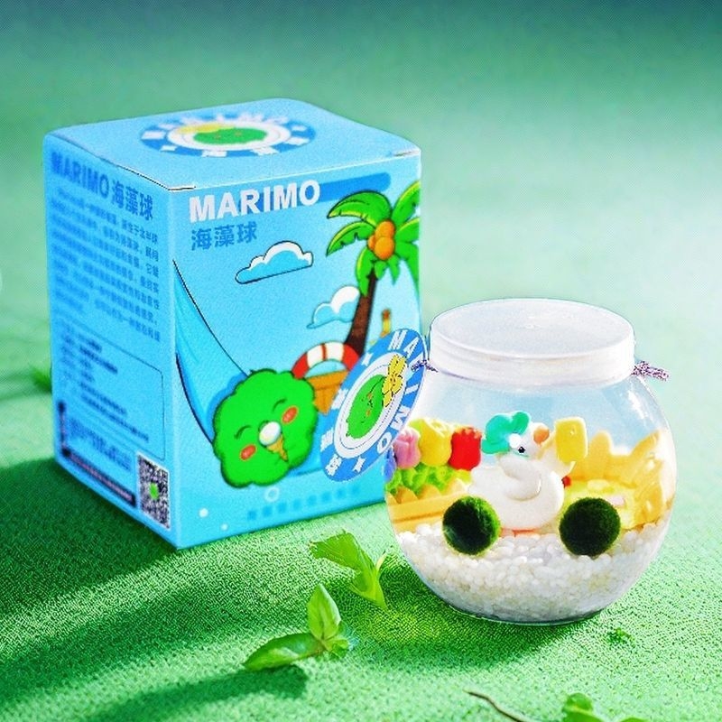 Marimo sferinis kamuolys — stalinis hidroponikų buteliuko rinkinys, karikatūrinis plastikinis dizainas, pritaikomas, dovanai tinkamas mikropeizažui (Plastikas, Pritaikomumas, Karikatūrinė forma)