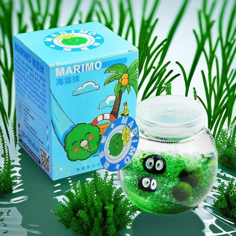 Marimo sūnas bumbiņa ekoloģiskā pudelē — galda hidroponiska mini ainava komplekts, plastmasas materiāls, karikatūrveidīgs dizains, pielāgojams