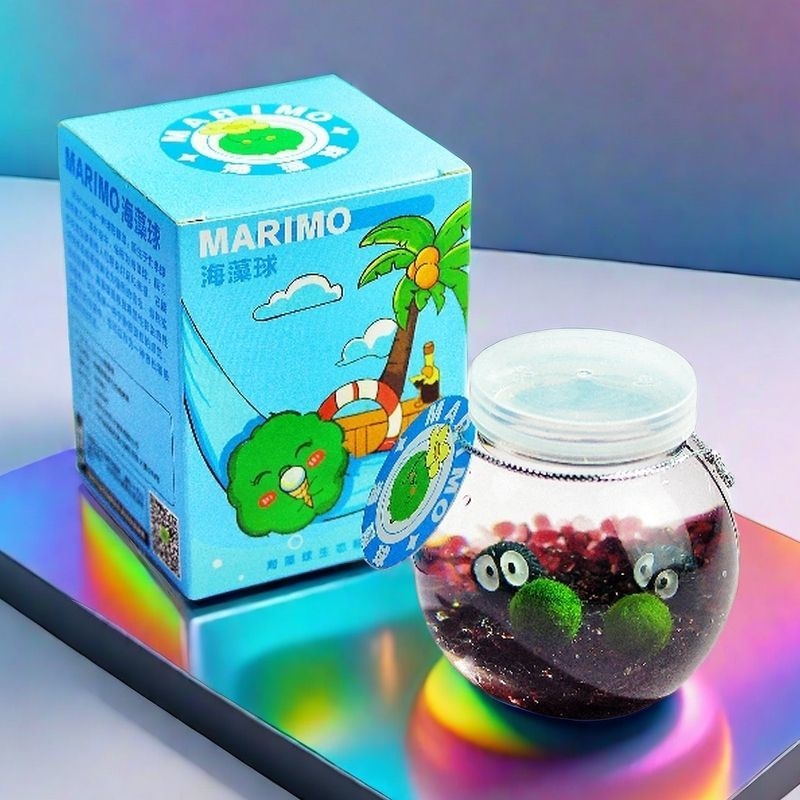 Marimo sūnas bumbiņa ekoloģiskā pudelē — galda hidroponiska mini ainava komplekts, plastmasas materiāls, karikatūrveidīgs dizains, pielāgojams