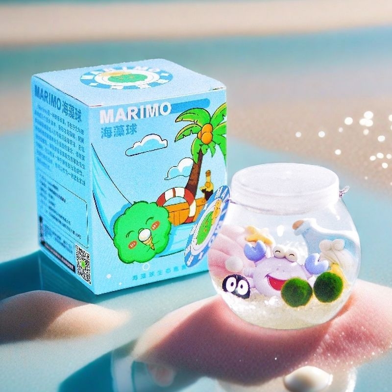 Marimo sūnas bumbiņa ekoloģiskā pudelē — galda hidroponiska mini ainava komplekts, plastmasas materiāls, karikatūrveidīgs dizains, pielāgojams