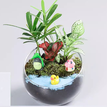 DIY komplekts mikro ainavai ar sūnu un sukulentiem stikla bumbiņā – ekoloģisks pudeles dekors Xuanyi (Materiāls: augsta borosilikāta stikls; Zīmols: Xuanyi; Iepakojums: kartons; Importa: Nē; Displejs: novietošana)