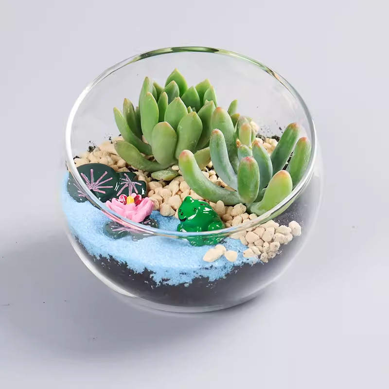 DIY komplekts mikro ainavai ar sūnu un sukulentiem stikla bumbiņā – ekoloģisks pudeles dekors Xuanyi (Materiāls: augsta borosilikāta stikls; Zīmols: Xuanyi; Iepakojums: kartons; Importa: Nē; Displejs: novietošana)