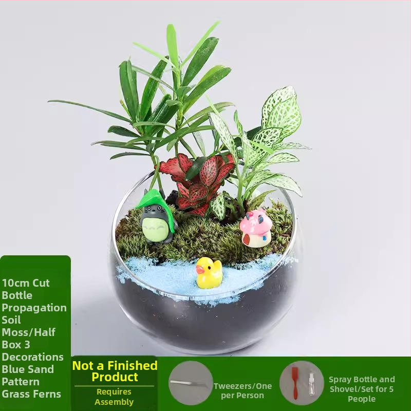 DIY komplekts mikro ainavai ar sūnu un sukulentiem stikla bumbiņā – ekoloģisks pudeles dekors Xuanyi (Materiāls: augsta borosilikāta stikls; Zīmols: Xuanyi; Iepakojums: kartons; Importa: Nē; Displejs: novietošana)