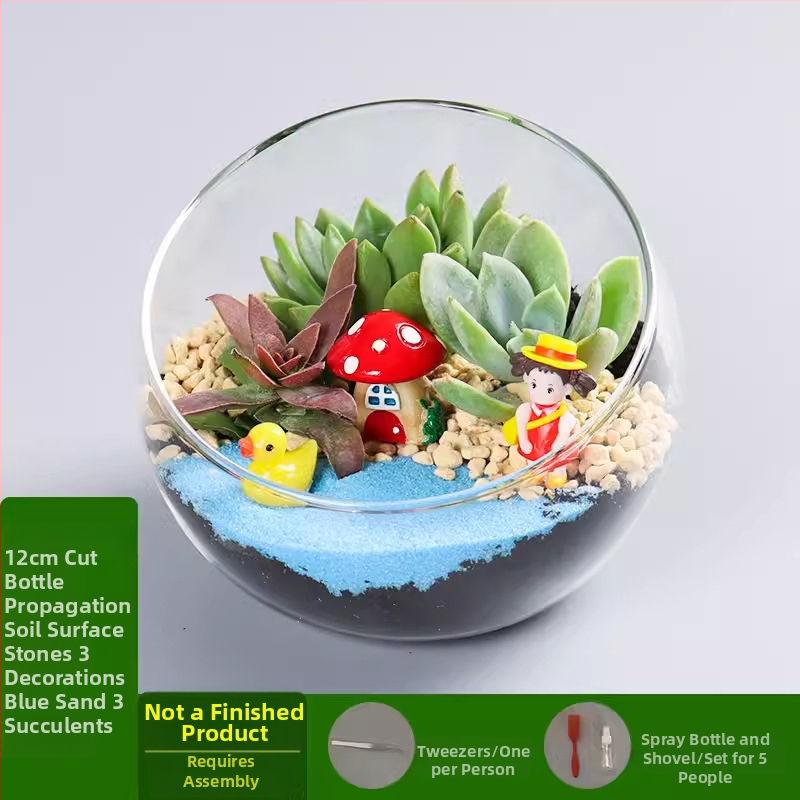 DIY komplekts mikro ainavai ar sūnu un sukulentiem stikla bumbiņā – ekoloģisks pudeles dekors Xuanyi (Materiāls: augsta borosilikāta stikls; Zīmols: Xuanyi; Iepakojums: kartons; Importa: Nē; Displejs: novietošana)
