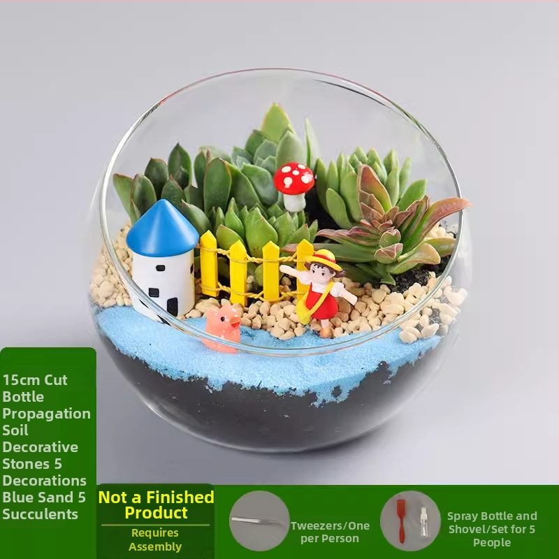 DIY komplekts mikro ainavai ar sūnu un sukulentiem stikla bumbiņā – ekoloģisks pudeles dekors Xuanyi (Materiāls: augsta borosilikāta stikls; Zīmols: Xuanyi; Iepakojums: kartons; Importa: Nē; Displejs: novietošana)