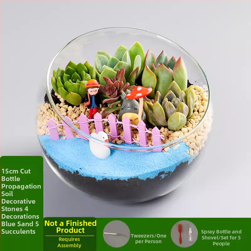 DIY komplekts mikro ainavai ar sūnu un sukulentiem stikla bumbiņā – ekoloģisks pudeles dekors Xuanyi (Materiāls: augsta borosilikāta stikls; Zīmols: Xuanyi; Iepakojums: kartons; Importa: Nē; Displejs: novietošana)