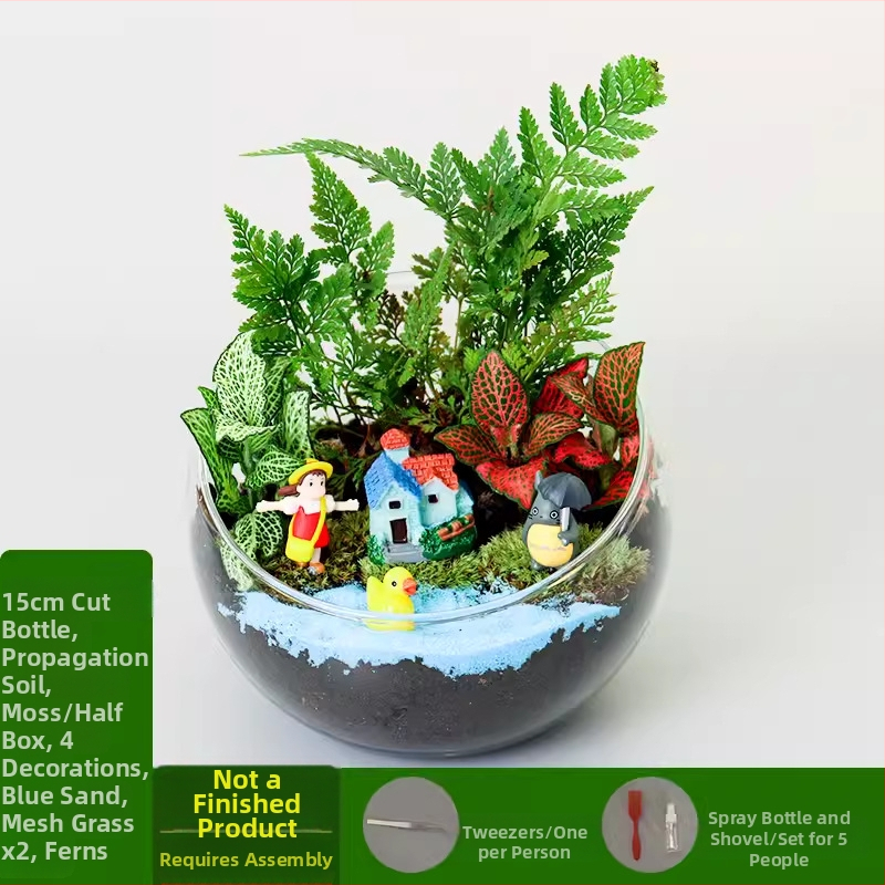 DIY komplekts mikro ainavai ar sūnu un sukulentiem stikla bumbiņā – ekoloģisks pudeles dekors Xuanyi (Materiāls: augsta borosilikāta stikls; Zīmols: Xuanyi; Iepakojums: kartons; Importa: Nē; Displejs: novietošana)