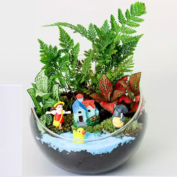 DIY komplekts mikro ainavai ar sūnām un sukulentiem stikla lodītes formā, stikls augstas borosilikāta, Xuanyi zīmols, kartona iepakojums, karāšanas veids: novietošana, bez importa
