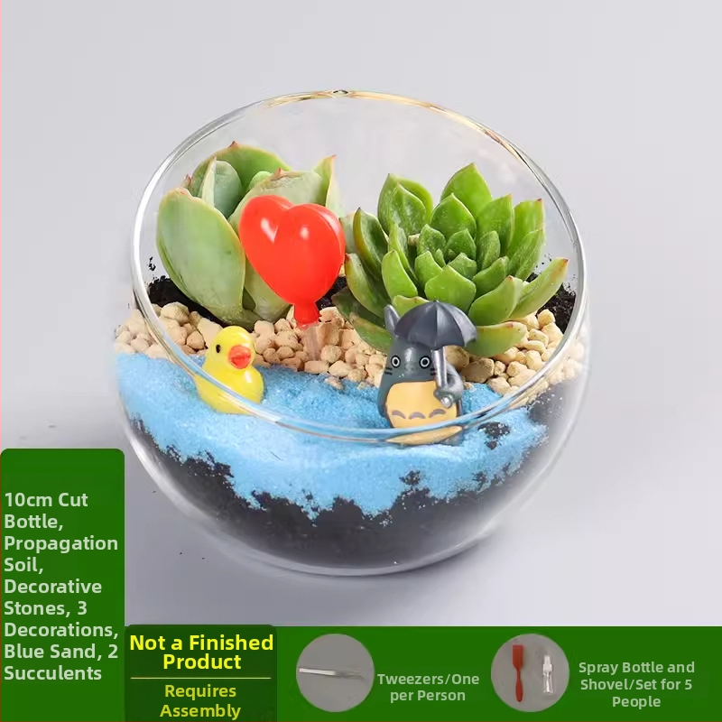 DIY mini ainava ar sūnu un sukulentiem stikla bumbiņā – borosilikāta stikls, Xuanyi zīmols, kartona iepakojums, piemērots galda novietošanai
