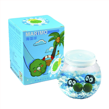 Marimo ekoloģiskā pudelīte ar mikro ainavu – galda hidroponikas augu komplekts, plastmasa, karikatūras forma, pielāgojama