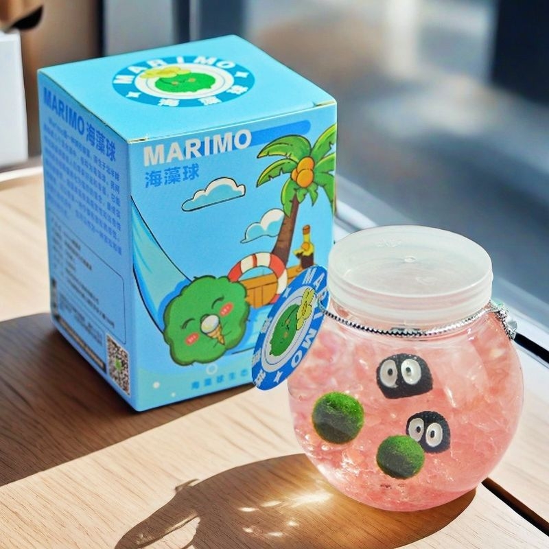 Marimo ekoloģiskā pudelīte ar mikro ainavu – galda hidroponikas augu komplekts, plastmasa, karikatūras forma, pielāgojama