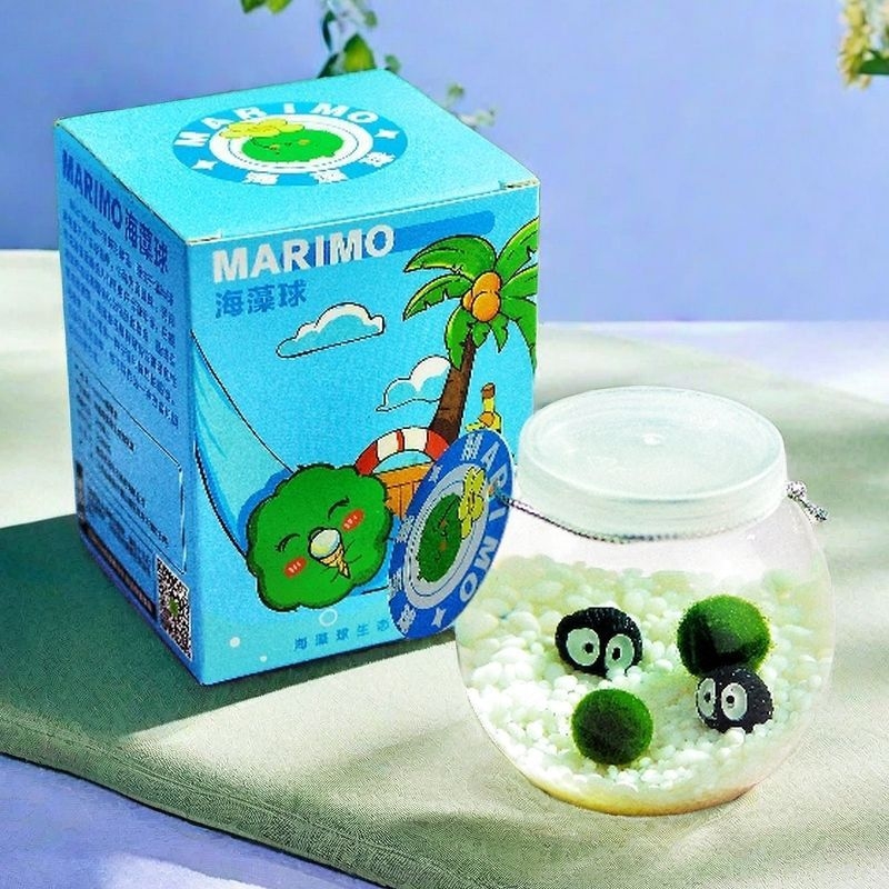 Marimo ekoloģiskā pudelīte ar mikro ainavu – galda hidroponikas augu komplekts, plastmasa, karikatūras forma, pielāgojama