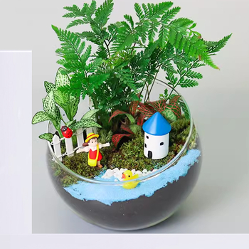 DIY komplekts mikrolandšaftam ar sūnām un sukulentiem stikla bumbā — ekoloģiska pudele; augstas borosilikāta stikls; Xuanyi zīmols; kartons iepakojums; izstādei novietošana