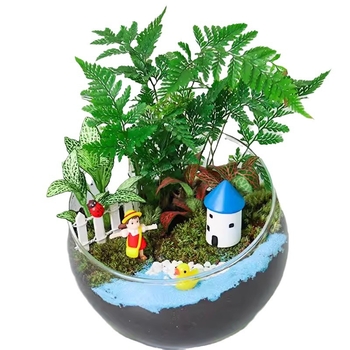 DIY komplekts mikrolandšaftam ar sūnām un sukulentiem stikla bumbā — ekoloģiska pudele; augstas borosilikāta stikls; Xuanyi zīmols; kartons iepakojums; izstādei novietošana