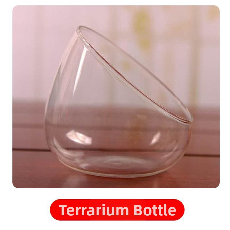 DIY komplekts mikrolandšaftam ar sūnām un sukulentiem stikla bumbā — ekoloģiska pudele; augstas borosilikāta stikls; Xuanyi zīmols; kartons iepakojums; izstādei novietošana