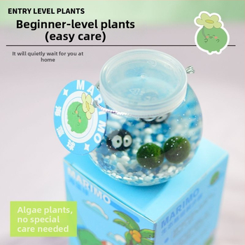 Galda hidropionikas komplekts ar Marimo bumbu ekoloģiskā pudelē — plastmasa, karikatūrai līdzīga forma, pielāgojams, iepakojums iekļauts